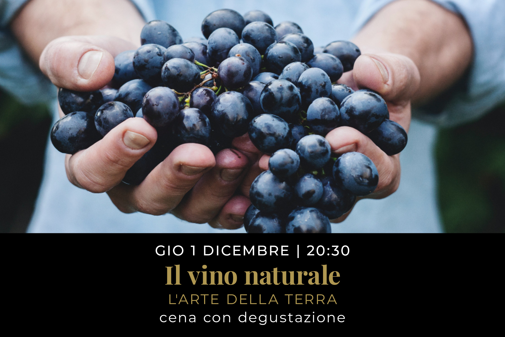 Il vino naturale – l’arte della terra // la ventitreesima monografia // Cena con degustazione