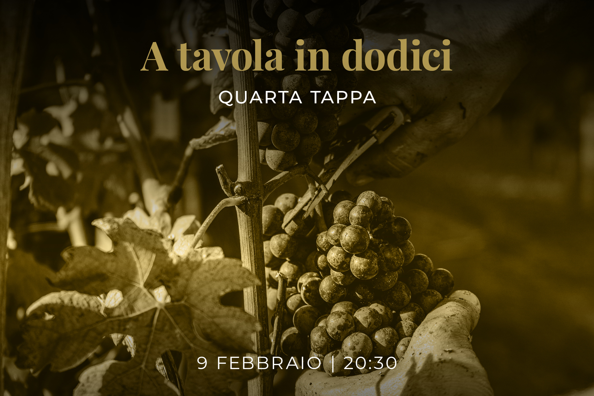 A tavola in dodici - Mario Fontana, il talento silenzioso del Barolo