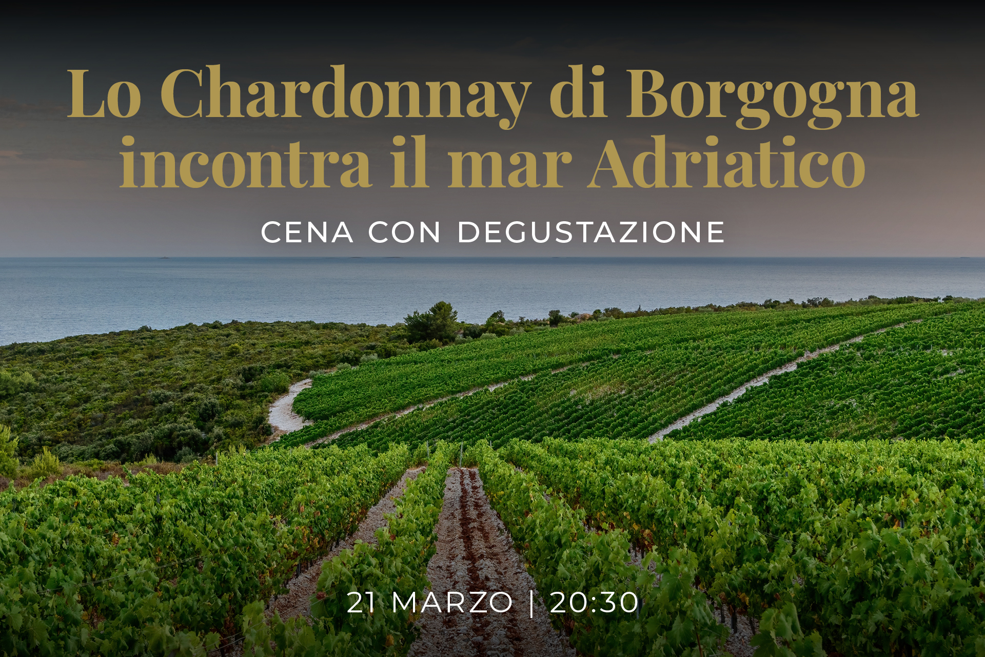 Lo Chardonnay di Borgogna incontra il Mar Adriatico