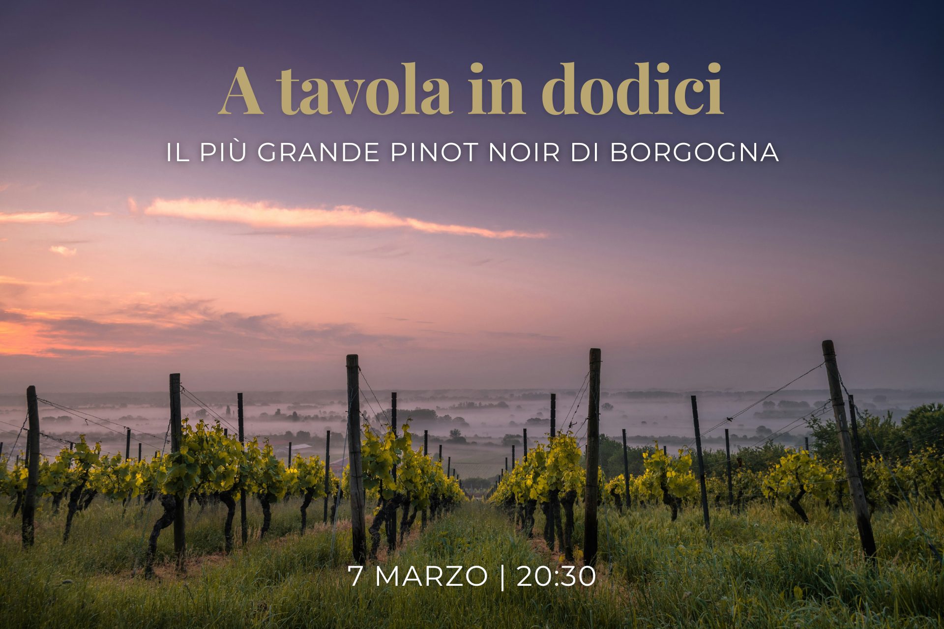 A tavola in dodici – Il più grande Pinot Noir di Borgogna