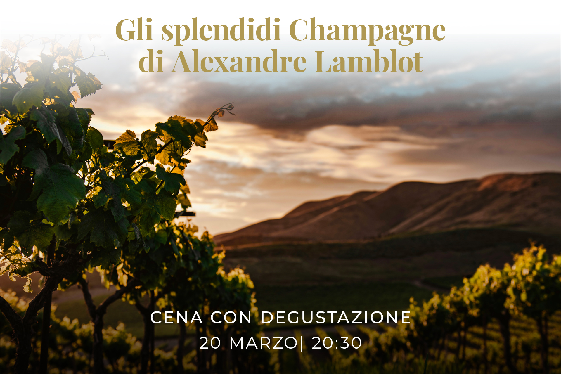 Gli splendidi Champagne di Alexandre Lamblot