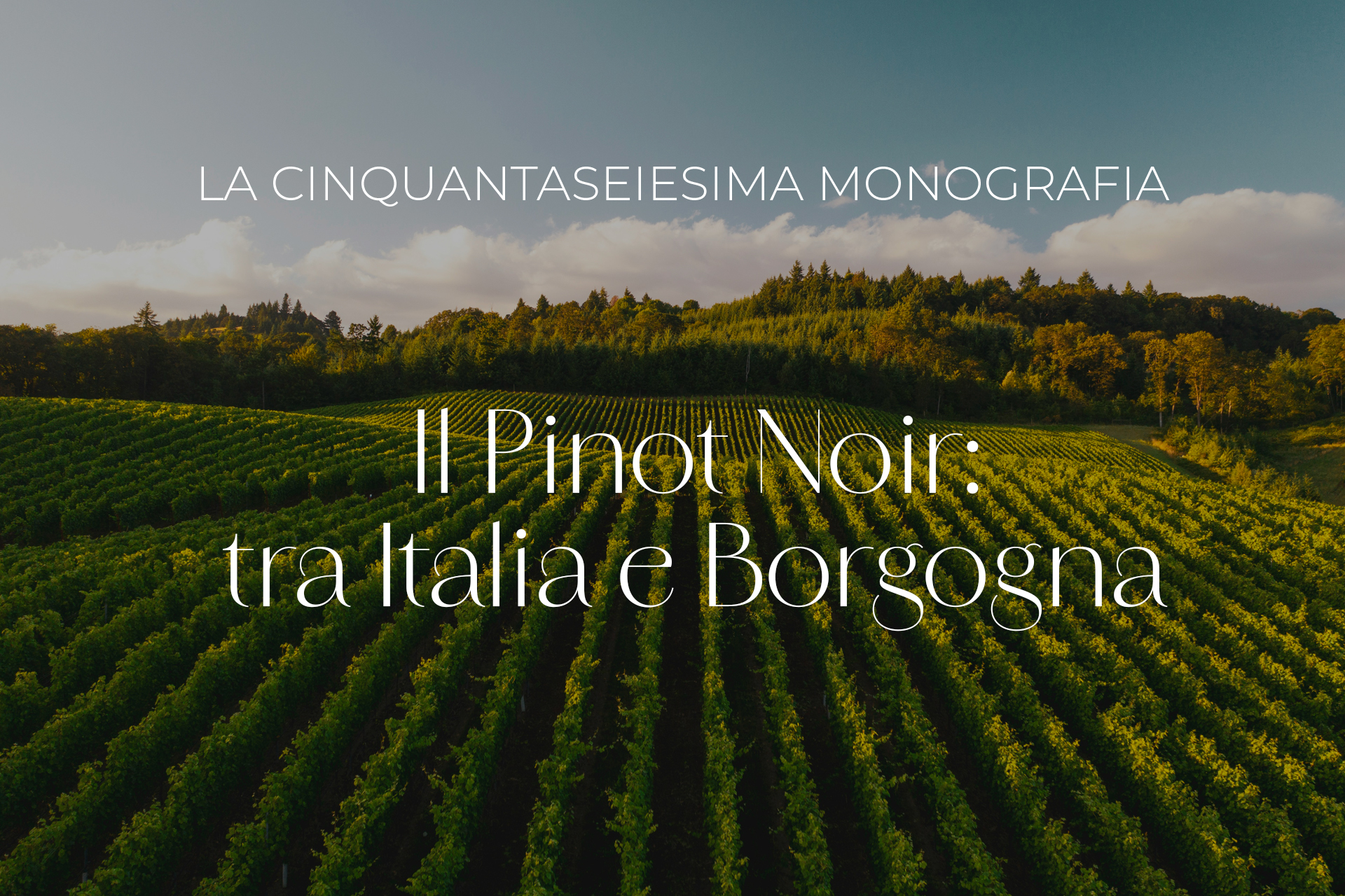Il Pinot Noir: tra Italia e Borgogna