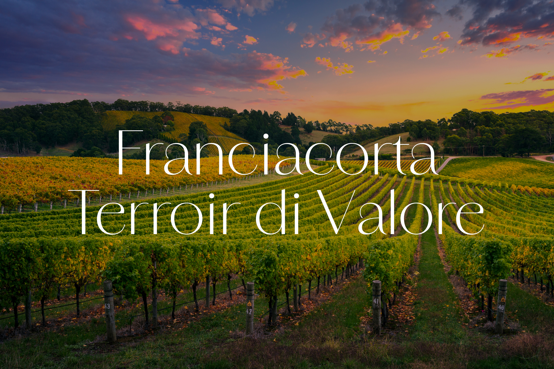 Franciacorta Terroir di Valore