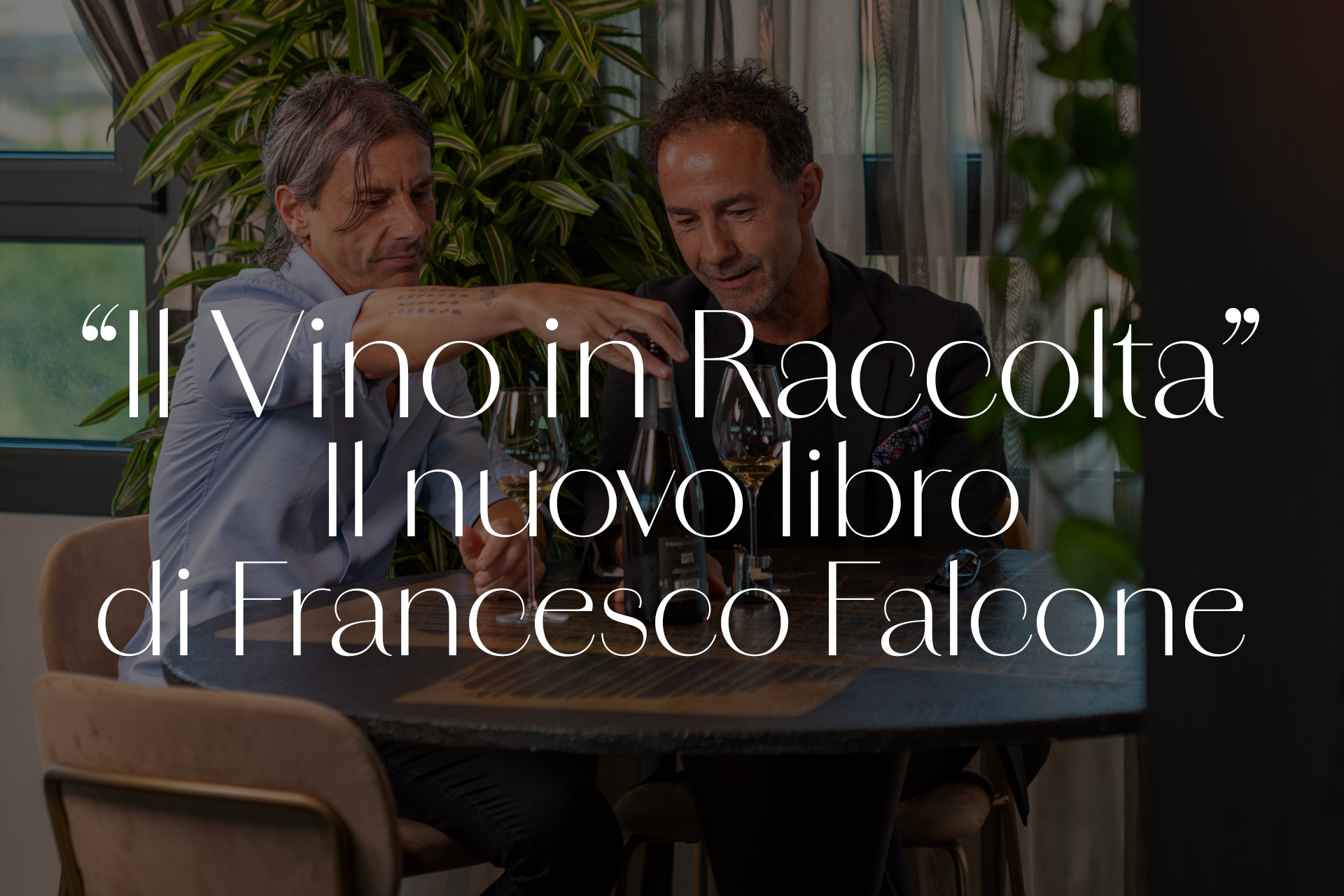 Il Vino in Raccolta – Il nuovo libro di Francesco Falcone